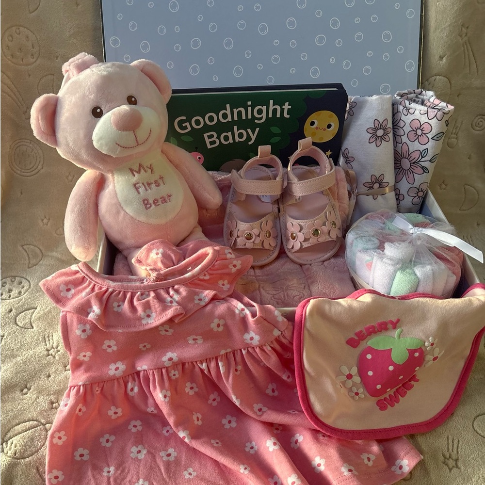 Baby Girls Pink Plush Bear Gift Set with Dress, Shoes & Bib